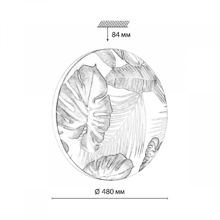 Потолочный светильник Sonex Pale Flori 7748/EL