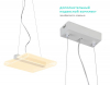Потолочный светодиодный светильник Ambrella Light Original FA623
