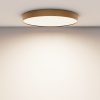 Потолочный светильник Maytoni Technical Ceiling Zon C032CL-90W4K-RD-MG