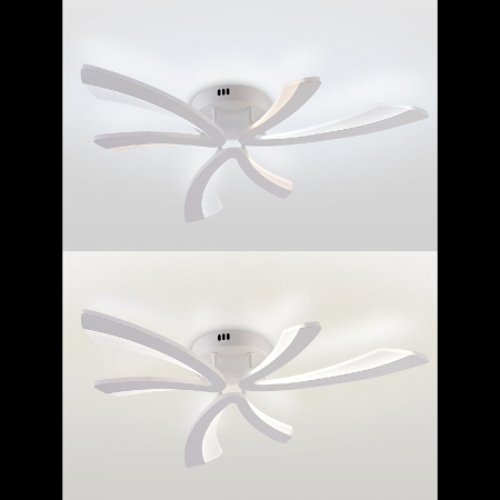 LED LAMPS 81453