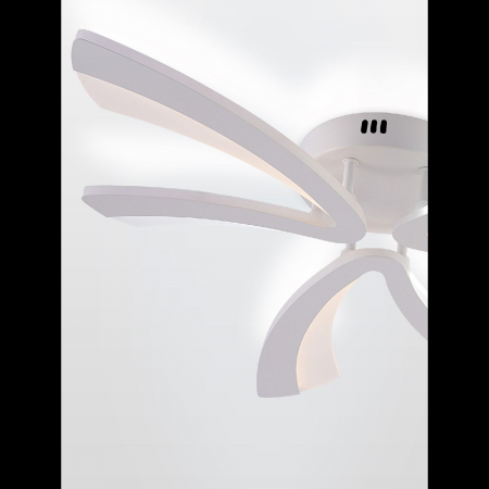 LED LAMPS 81453