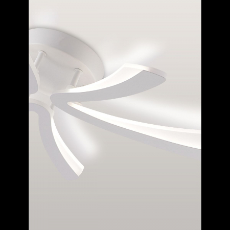 LED LAMPS 81453