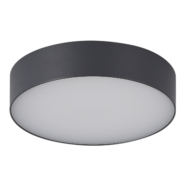 Уличный потолочный светильник ST Luce Sun SL9518.702.01