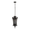 Уличный подвесной светильник Loft IT Tremezzo 100019P BS