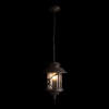 Уличный подвесной светильник Loft IT Prato 100021P