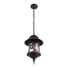 Уличный подвесной светильник Loft IT Prato 100021P