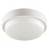 Настенно-потолочный светильник Wolta LCL04-12W-R21-6K-SM