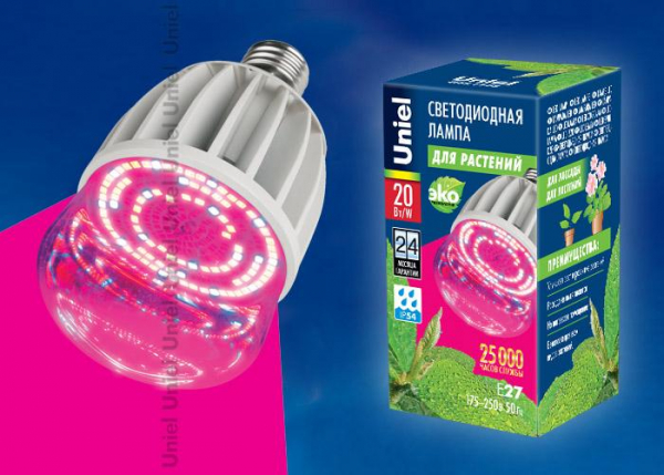 Лампа светодиодная для контурной подсветки Legrand Valena Allure 0.15mA 230V прозрачная 752057