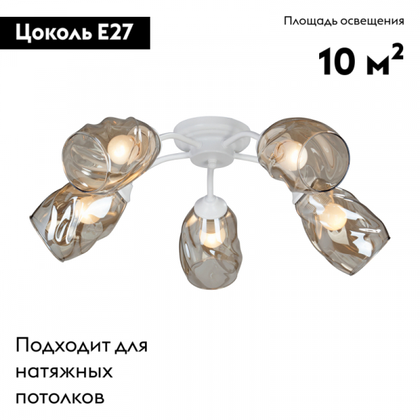 V4929-0/5PL