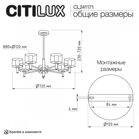 CL241171