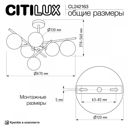 CL242163
