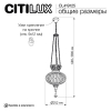CL419125