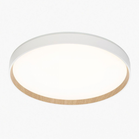 Потолочный светильник Citilux Etalon CL750400R