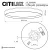 Потолочный светильник Citilux Etalon CL750400R