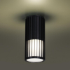 Уличный потолочный светильник Novotech Street Costas 370993