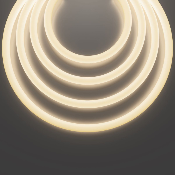 Гибкий неон Maytoni Led Strip Nemo D25 48В 12,5Вт/м 3000К IP65 20м