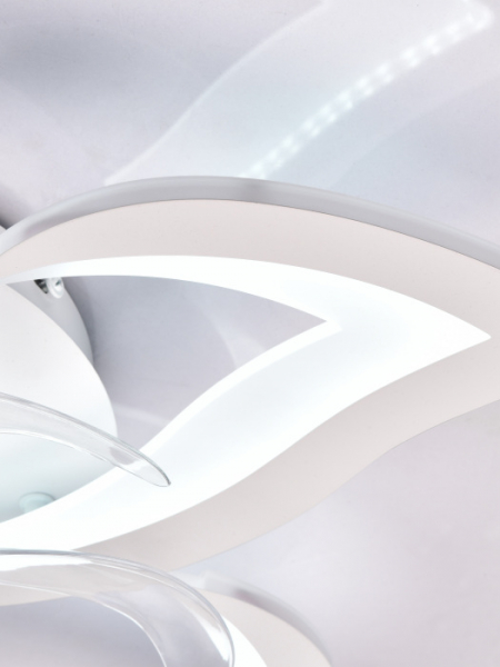 LED LAMPS 81487