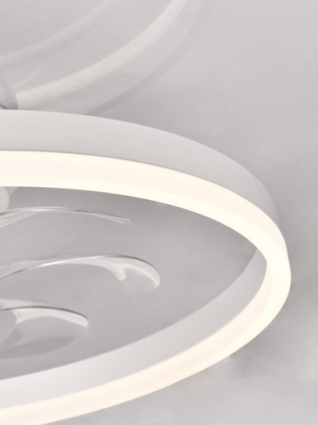 LED LAMPS 81489