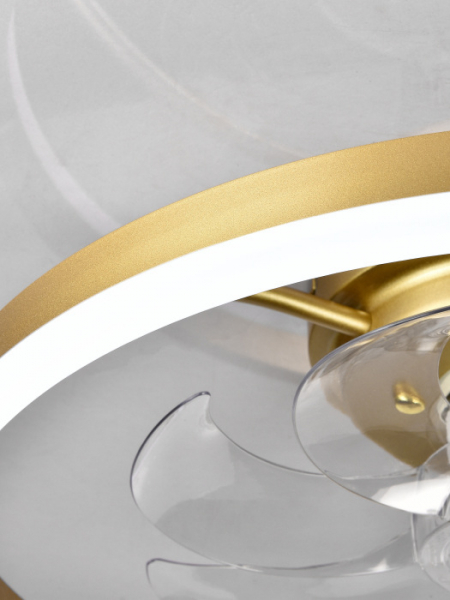 LED LAMPS 81491