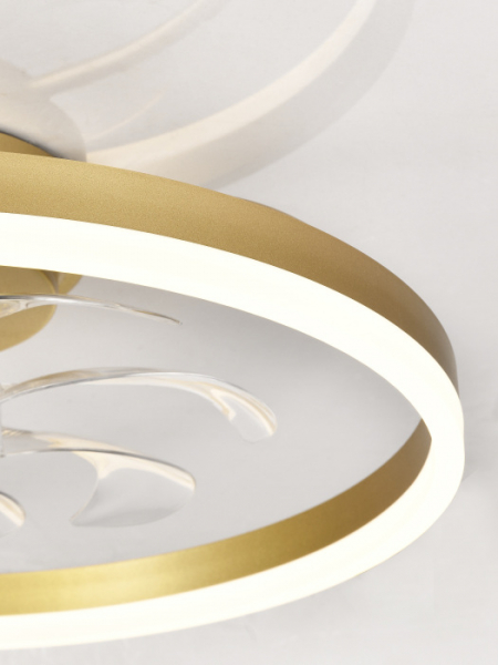 LED LAMPS 81491