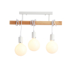 Потолочный светильник EVOLUCE BAGETTI SL1142.503.03