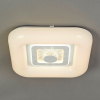 Потолочный светодиодный светильник Escada Casket 10220/SG LED