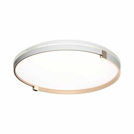 Настенно-потолочный светильник Sonex Pale Olidi White 7646/DLN