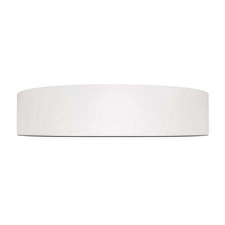 Потолочный светильник Loft IT Coin 10202 WB