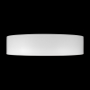 Потолочный светильник Loft IT Coin 10202 WB