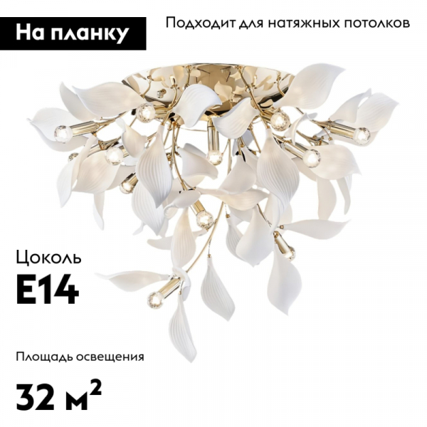 WE123.16.307