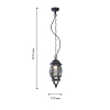 Уличный подвесной светильник Favourite Paris 1806-1P