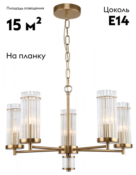 Б0055529