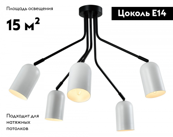 Б0064974