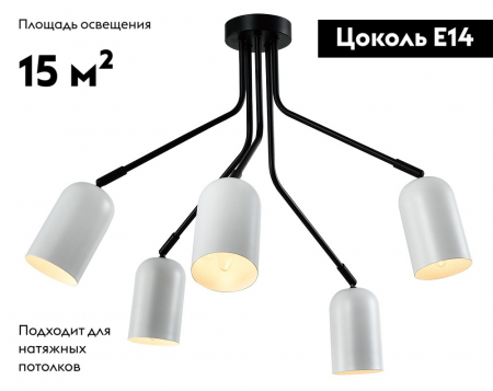 Б0064974