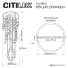 CL249051